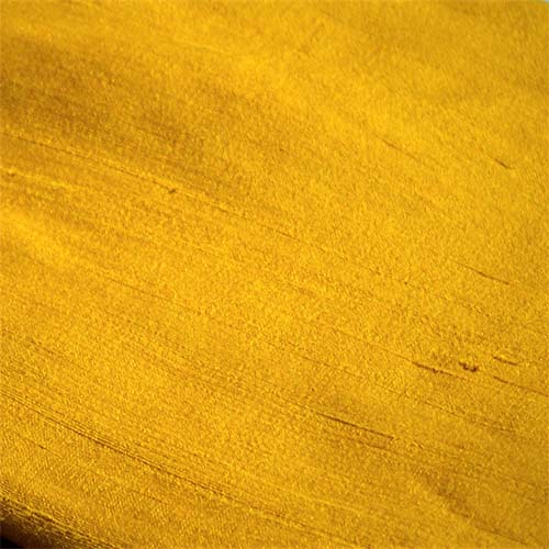 Golden Mustard-5